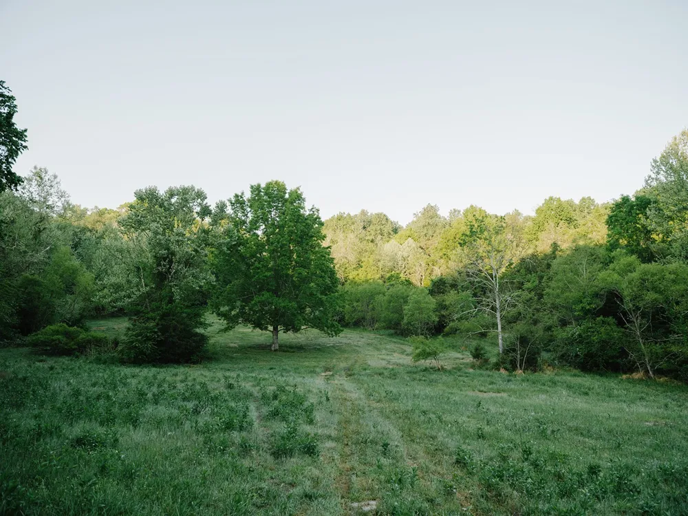 1647 Groveland Ridge Rd Columbia, TN 38401