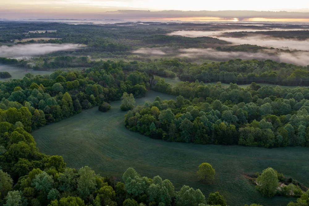 1647 Groveland Ridge Rd Columbia, TN 38401