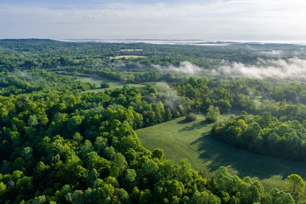 1647 Groveland Ridge Rd Columbia, TN 38401