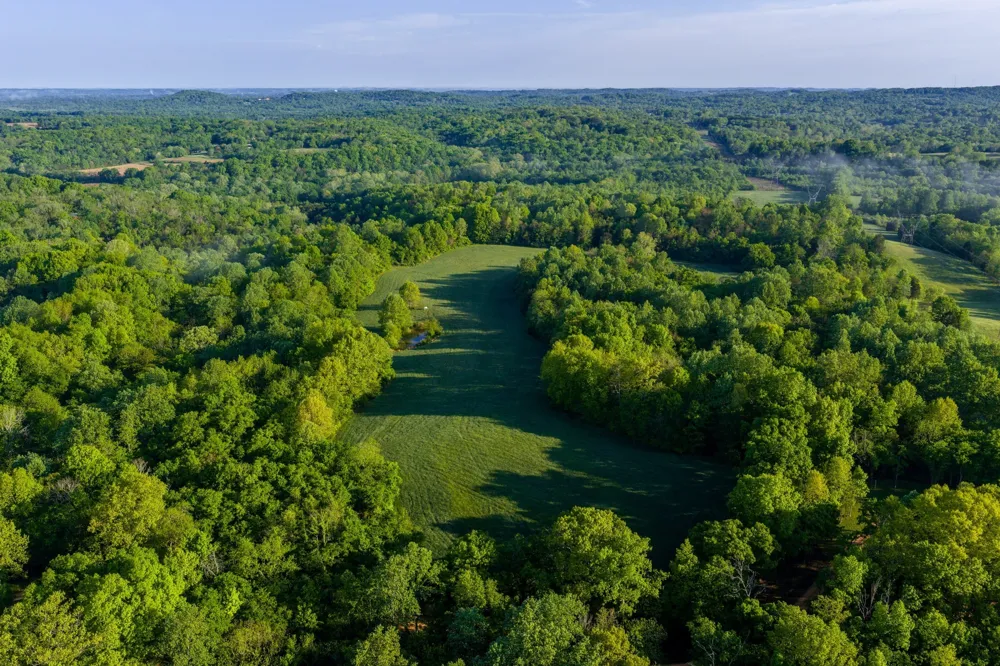 1647 Groveland Ridge Rd Columbia, TN 38401