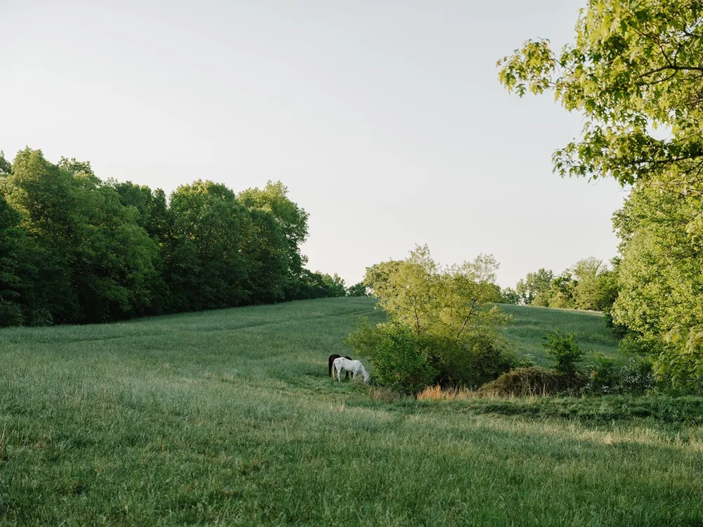 1647 Groveland Ridge Rd Columbia, TN 38401