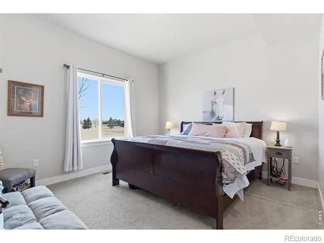 4165 Crittenton Lane #1 Wellington, CO 80549