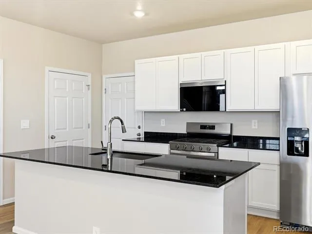 1596 Riverplace Drive #5 Windsor, CO 80550
