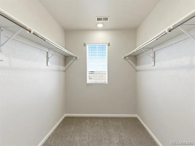1596 Riverplace Drive #5 Windsor, CO 80550