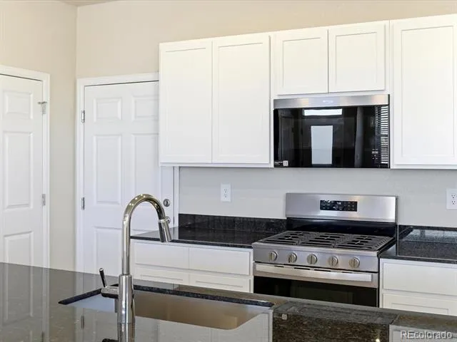 1596 Riverplace Drive #5 Windsor, CO 80550