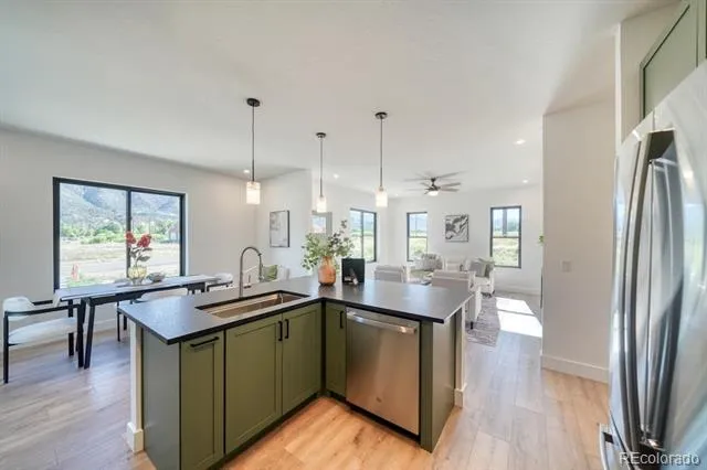 866 Hoover Circle Poncha Springs, CO 81242
