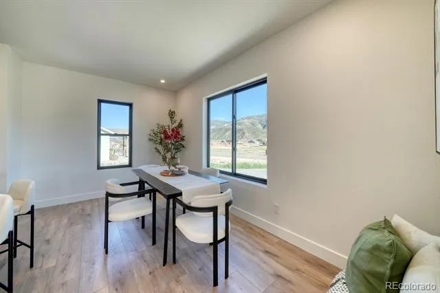 866 Hoover Circle Poncha Springs, CO 81242