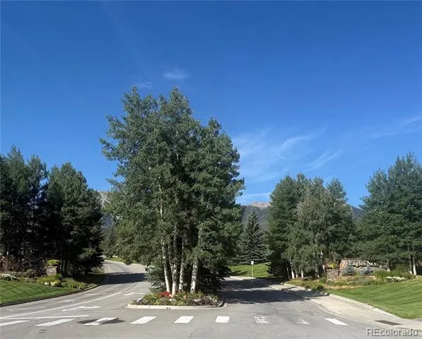 102 Blue Grouse Lane Silverthorne, CO 80498