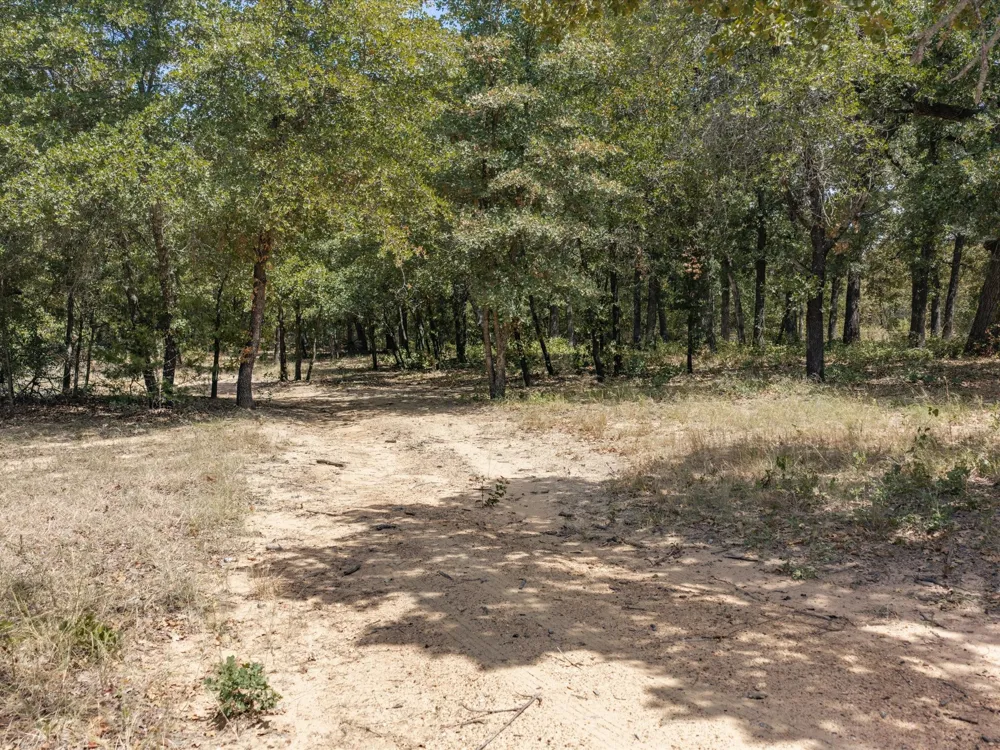 483 Legacy Lane Bowie, TX 76230