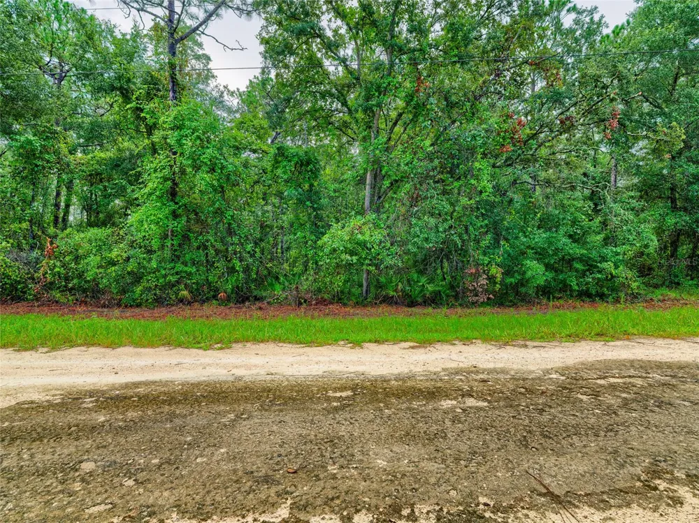 6342 KARWICH AVENUE Webster, FL 33597