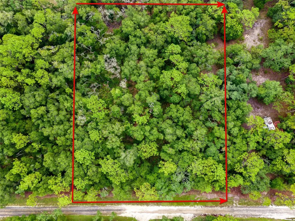 6342 KARWICH AVENUE Webster, FL 33597