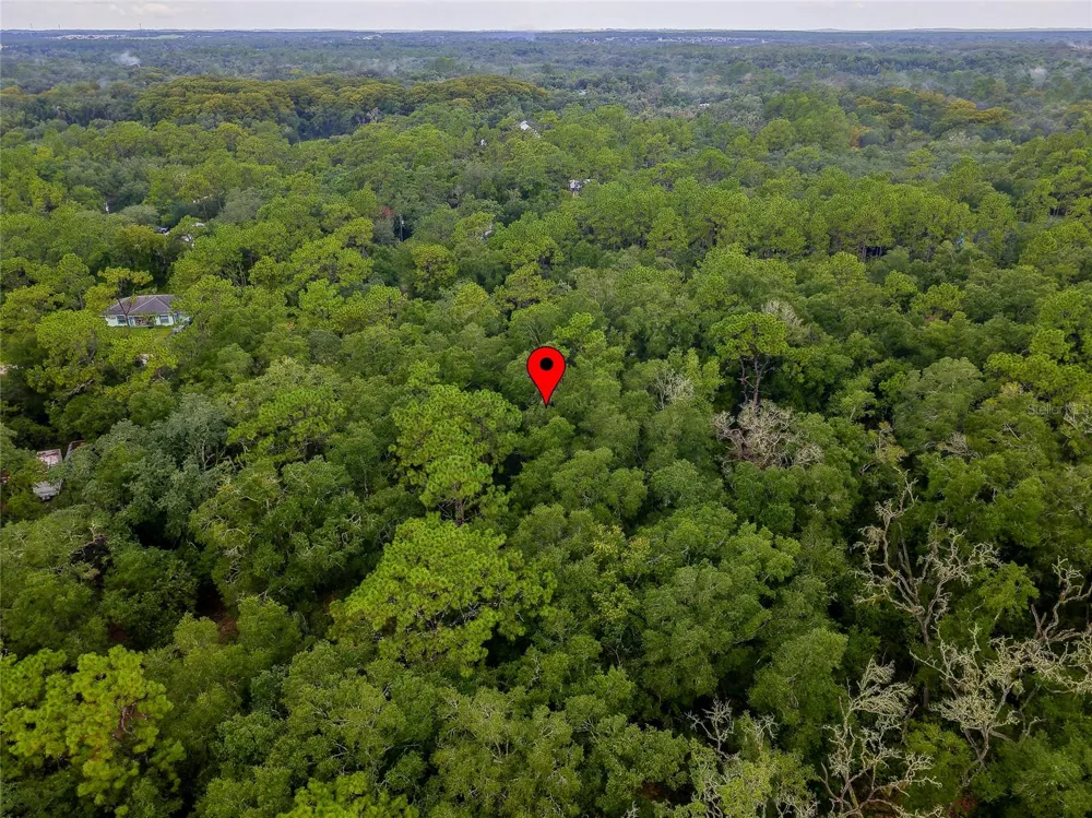 6342 KARWICH AVENUE Webster, FL 33597