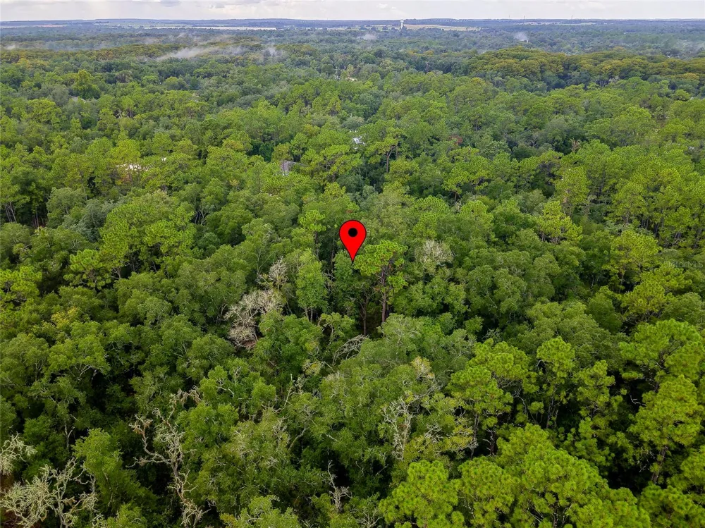 6342 KARWICH AVENUE Webster, FL 33597
