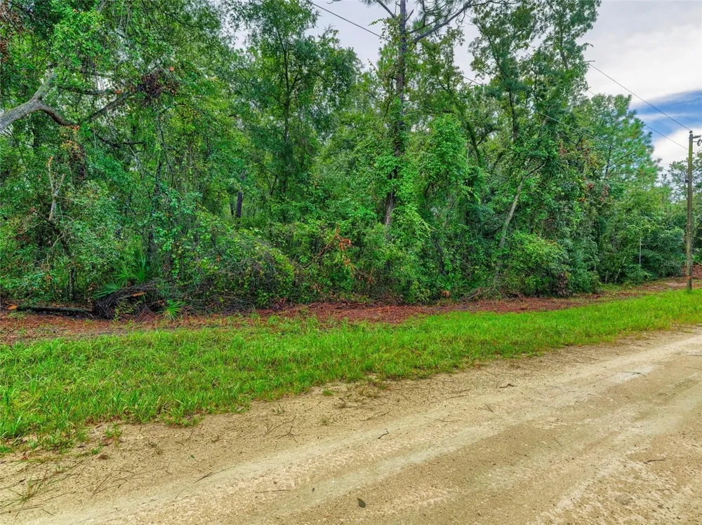 6342 KARWICH AVENUE Webster, FL 33597