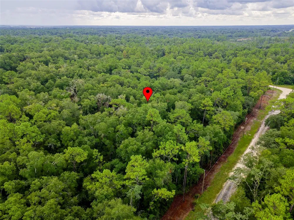 6342 KARWICH AVENUE Webster, FL 33597