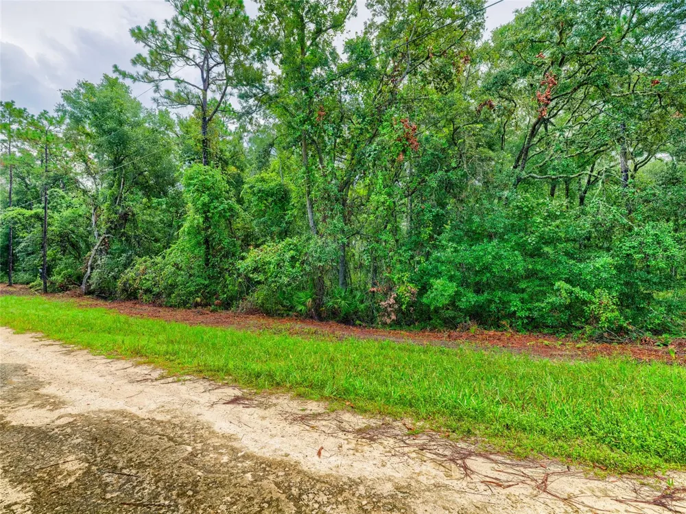 6342 KARWICH AVENUE Webster, FL 33597