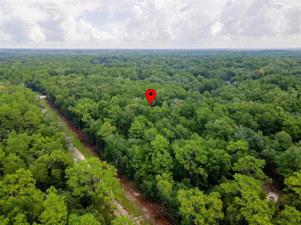 6342 KARWICH AVENUE Webster, FL 33597