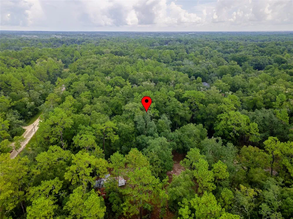 6342 KARWICH AVENUE Webster, FL 33597