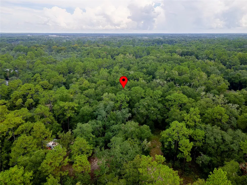 6342 KARWICH AVENUE Webster, FL 33597