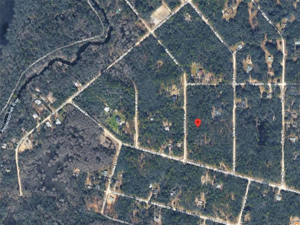 6342 KARWICH AVENUE Webster, FL 33597