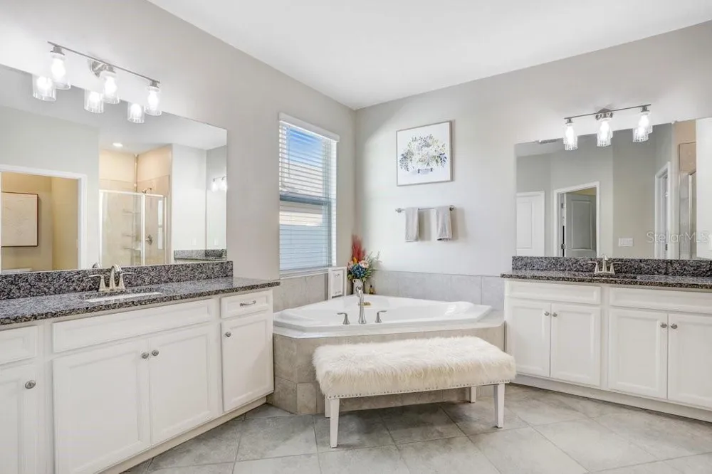 8721 SAVORY WALK DRIVE Land O Lakes, FL 34637