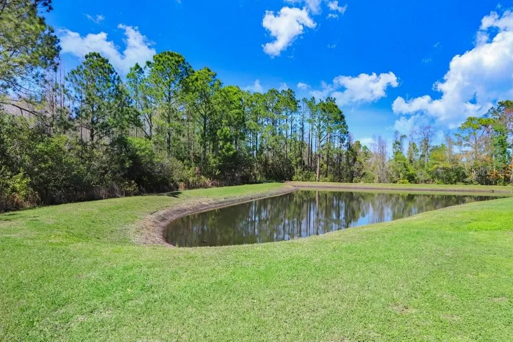 8721 SAVORY WALK DRIVE Land O Lakes, FL 34637