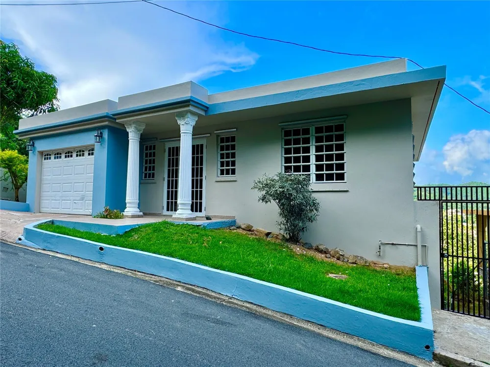 Junquito CLAVEL Humacao, PR 00791