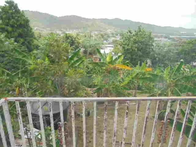 Junquito CLAVEL Humacao, PR 00791