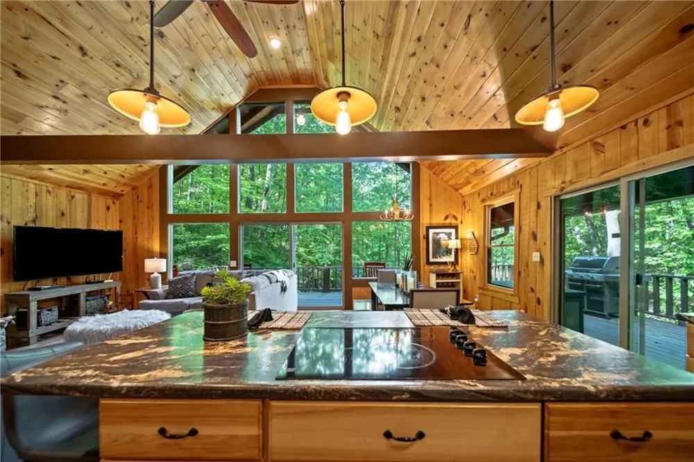 469 Lake Drive Ellijay, GA 30536