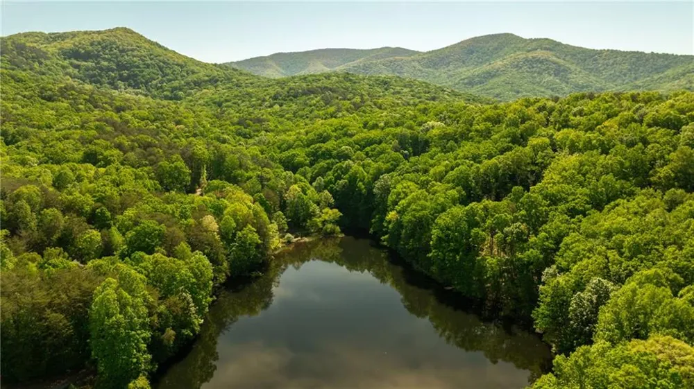 469 Lake Drive Ellijay, GA 30536