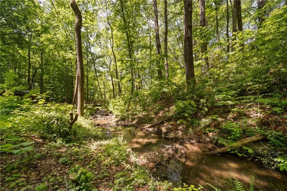 469 Lake Drive Ellijay, GA 30536
