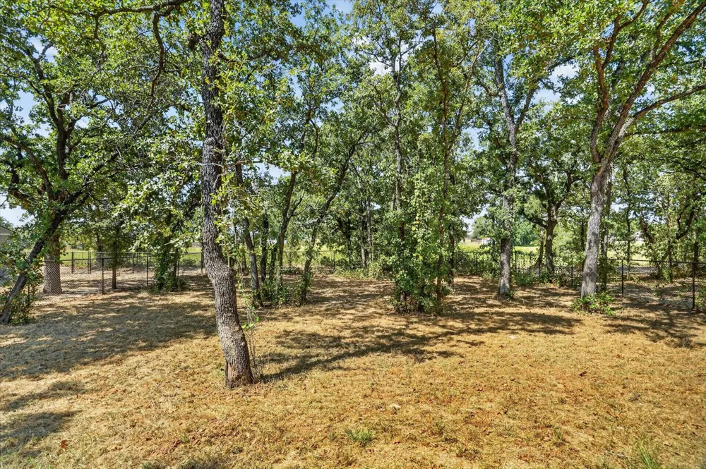461 Peace Lily Way Tolar, TX 76476