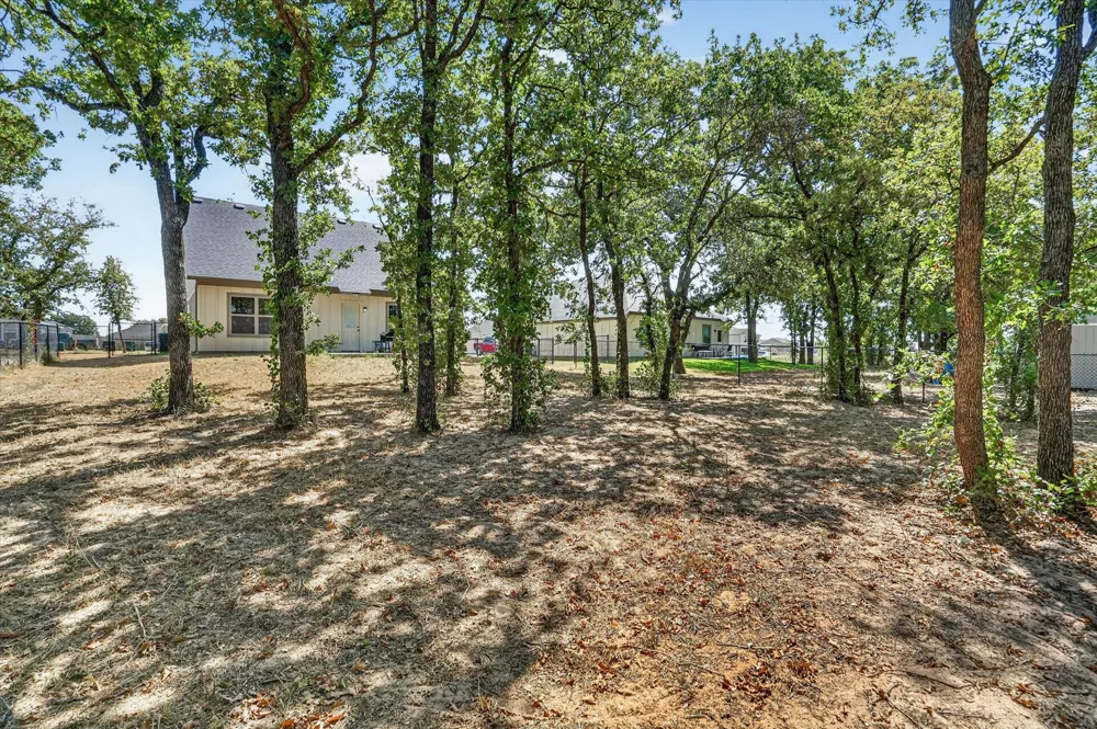461 Peace Lily Way Tolar, TX 76476