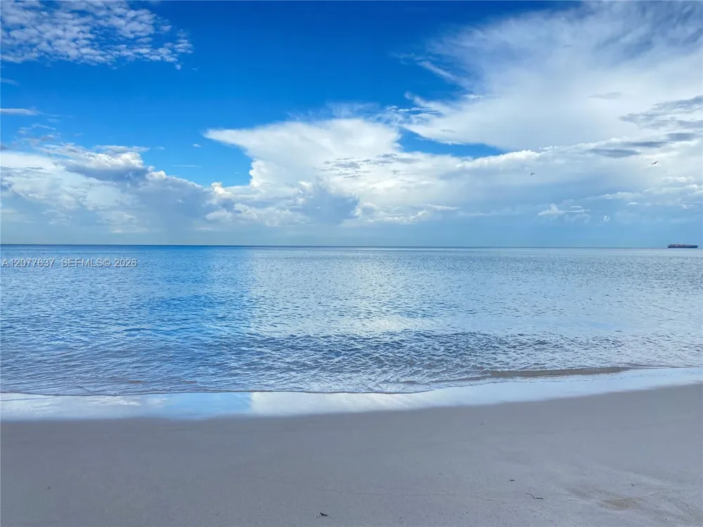6365 Collins Ave #2005 Miami Beach, FL 33141