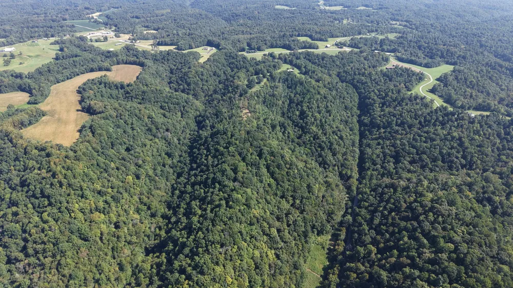 0 Wartrace Rd Red Boiling Springs, TN 37150