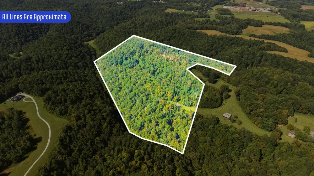 0 Wartrace Rd Red Boiling Springs, TN 37150