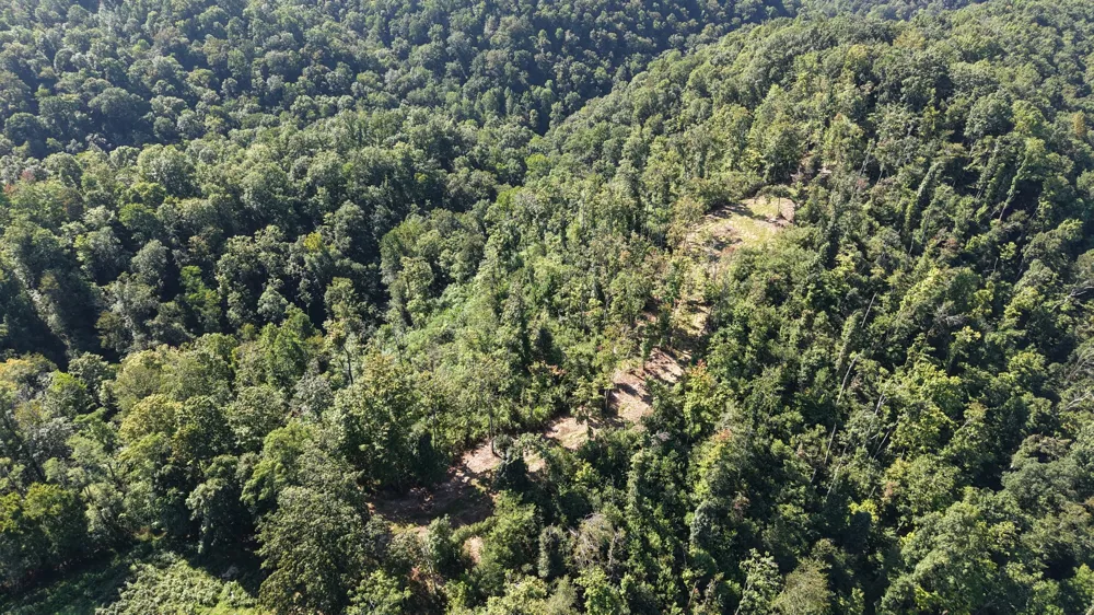 0 Wartrace Rd Red Boiling Springs, TN 37150