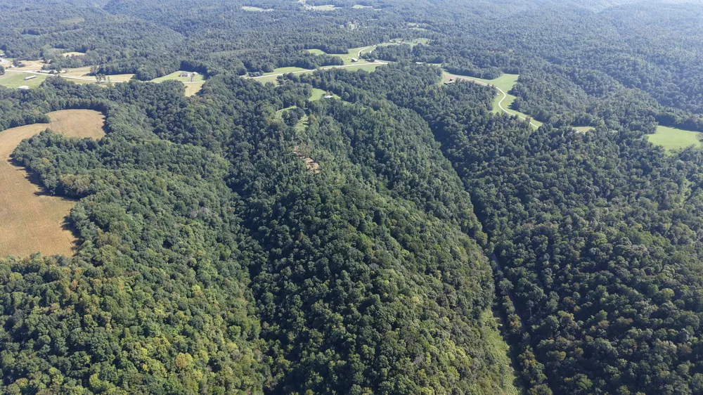 0 Wartrace Rd Red Boiling Springs, TN 37150