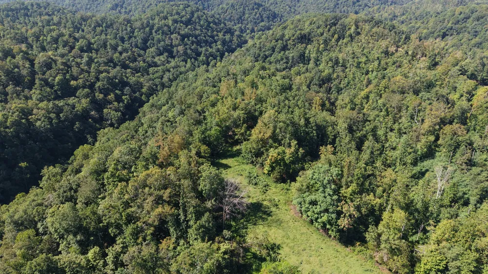 0 Wartrace Rd Red Boiling Springs, TN 37150