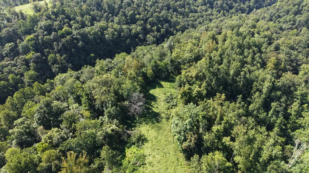 0 Wartrace Rd Red Boiling Springs, TN 37150
