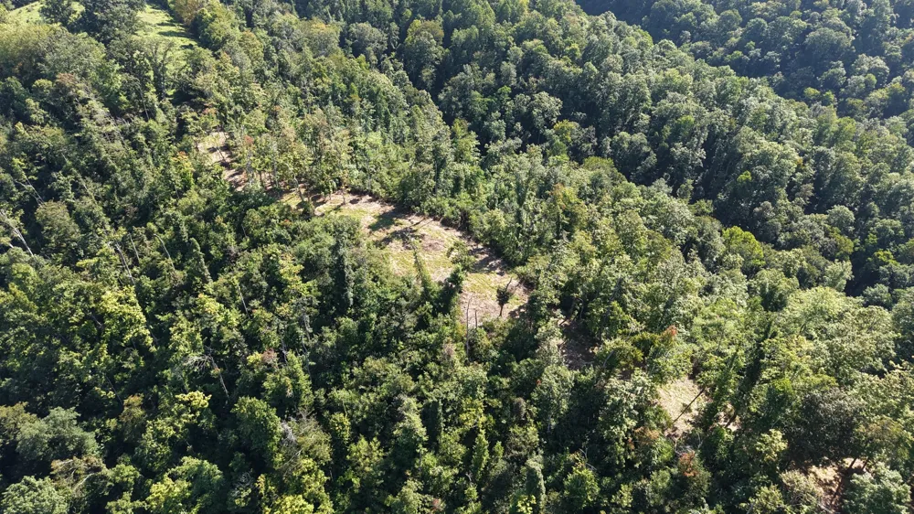 0 Wartrace Rd Red Boiling Springs, TN 37150