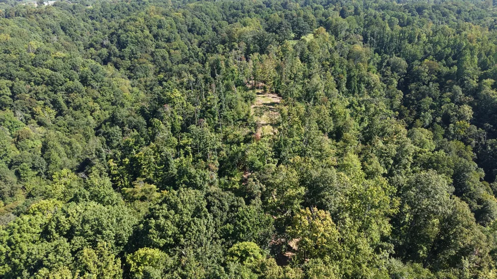 0 Wartrace Rd Red Boiling Springs, TN 37150