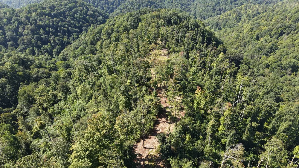 0 Wartrace Rd Red Boiling Springs, TN 37150