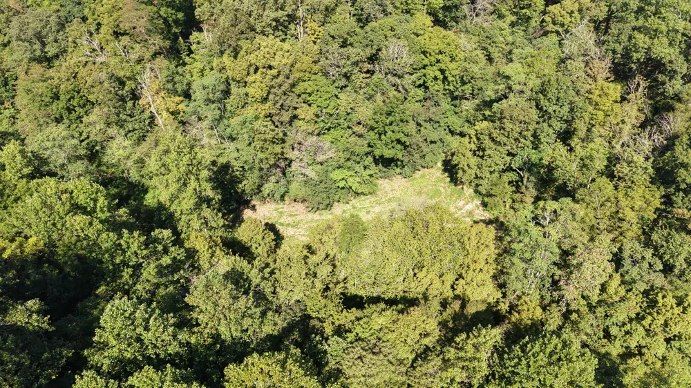0 Wartrace Rd Red Boiling Springs, TN 37150