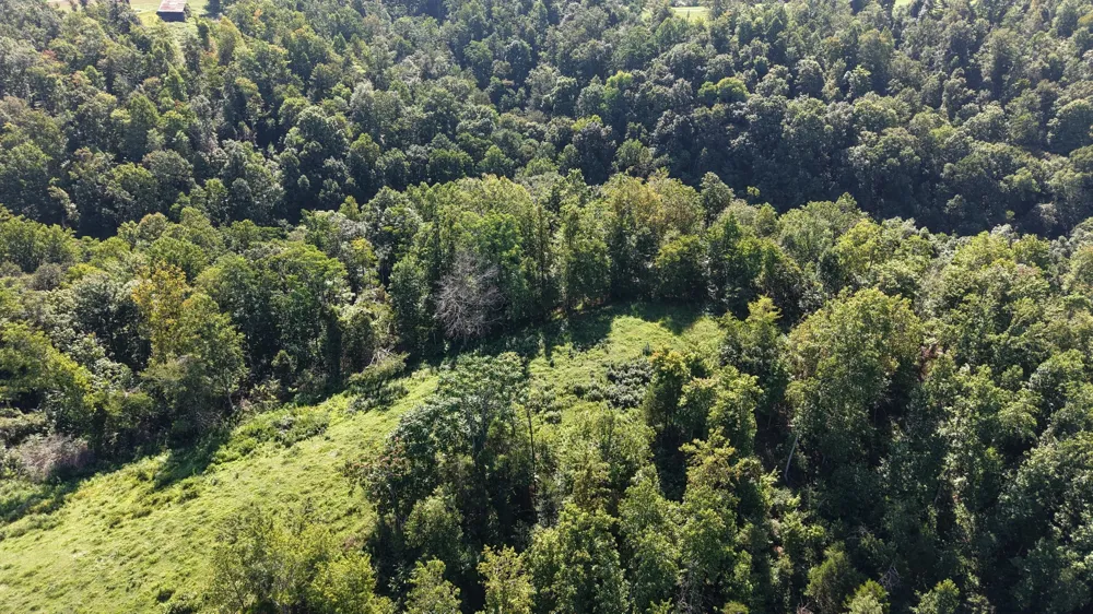 0 Wartrace Rd Red Boiling Springs, TN 37150