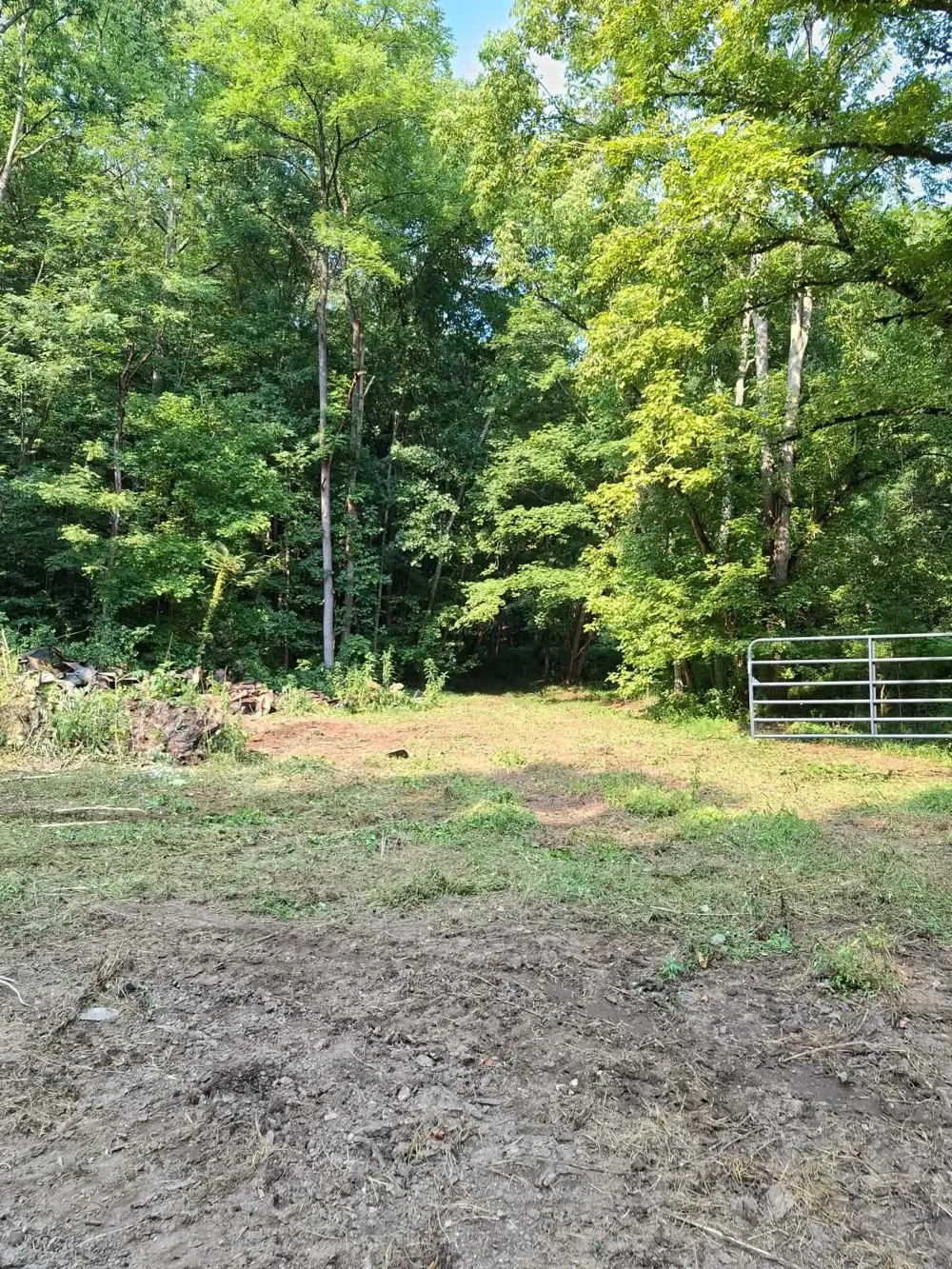 0 Wartrace Rd Red Boiling Springs, TN 37150