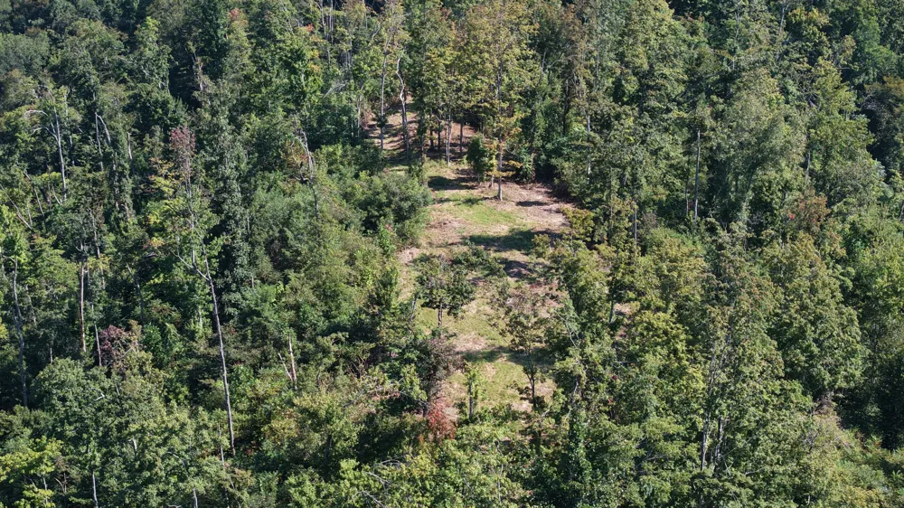 0 Wartrace Rd Red Boiling Springs, TN 37150