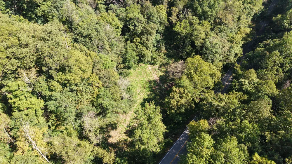 0 Wartrace Rd Red Boiling Springs, TN 37150