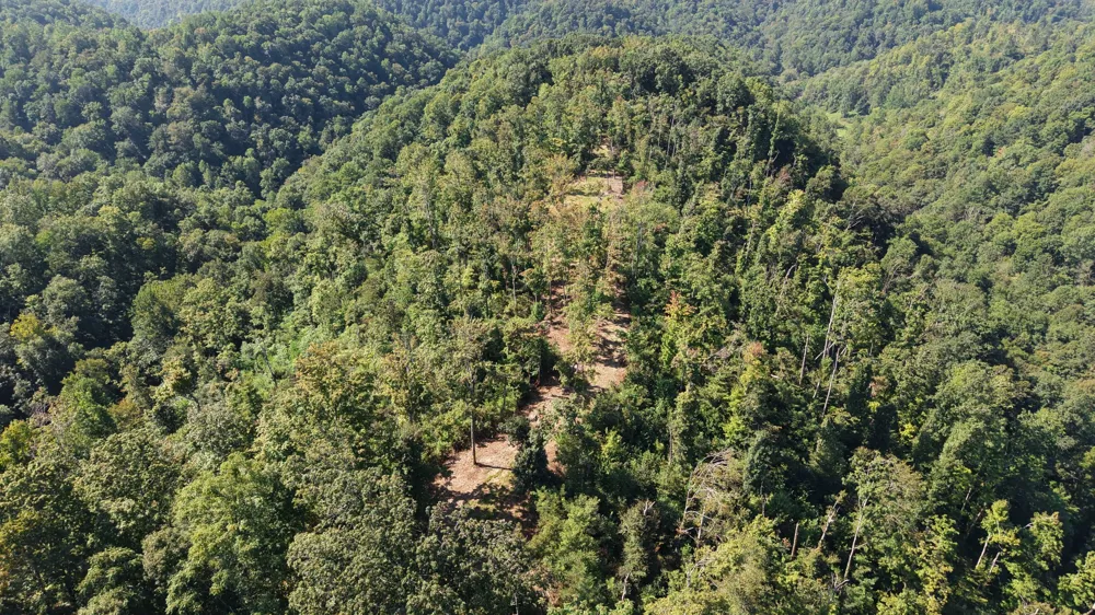 0 Wartrace Rd Red Boiling Springs, TN 37150