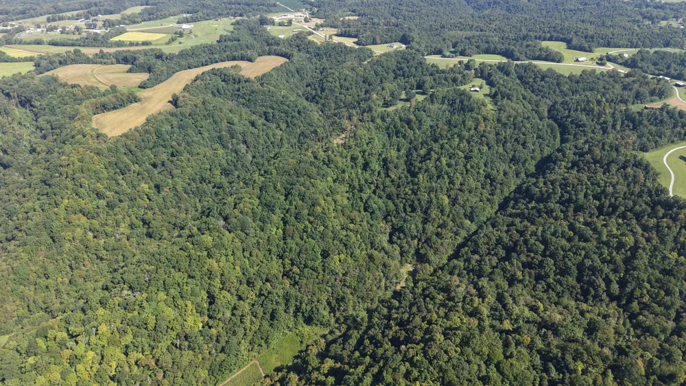 0 Wartrace Rd Red Boiling Springs, TN 37150